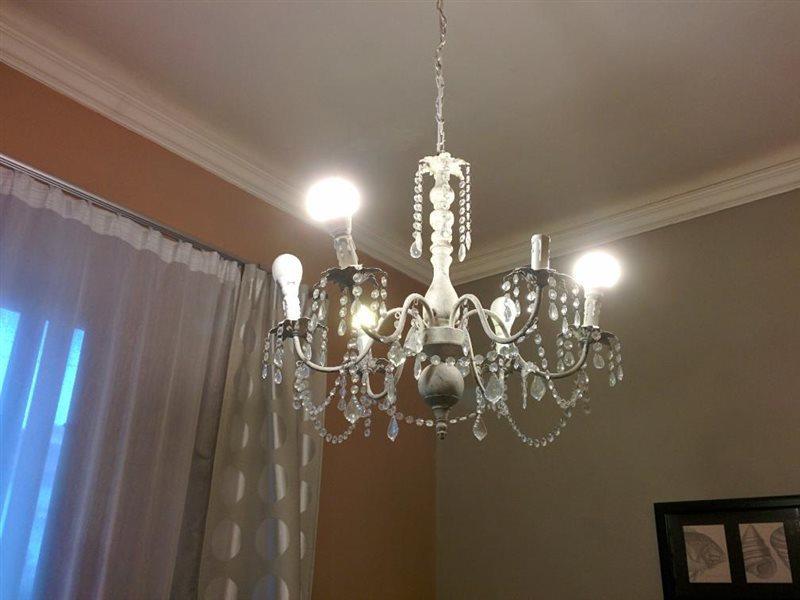 B&B Villa Regina 피사 외부 사진